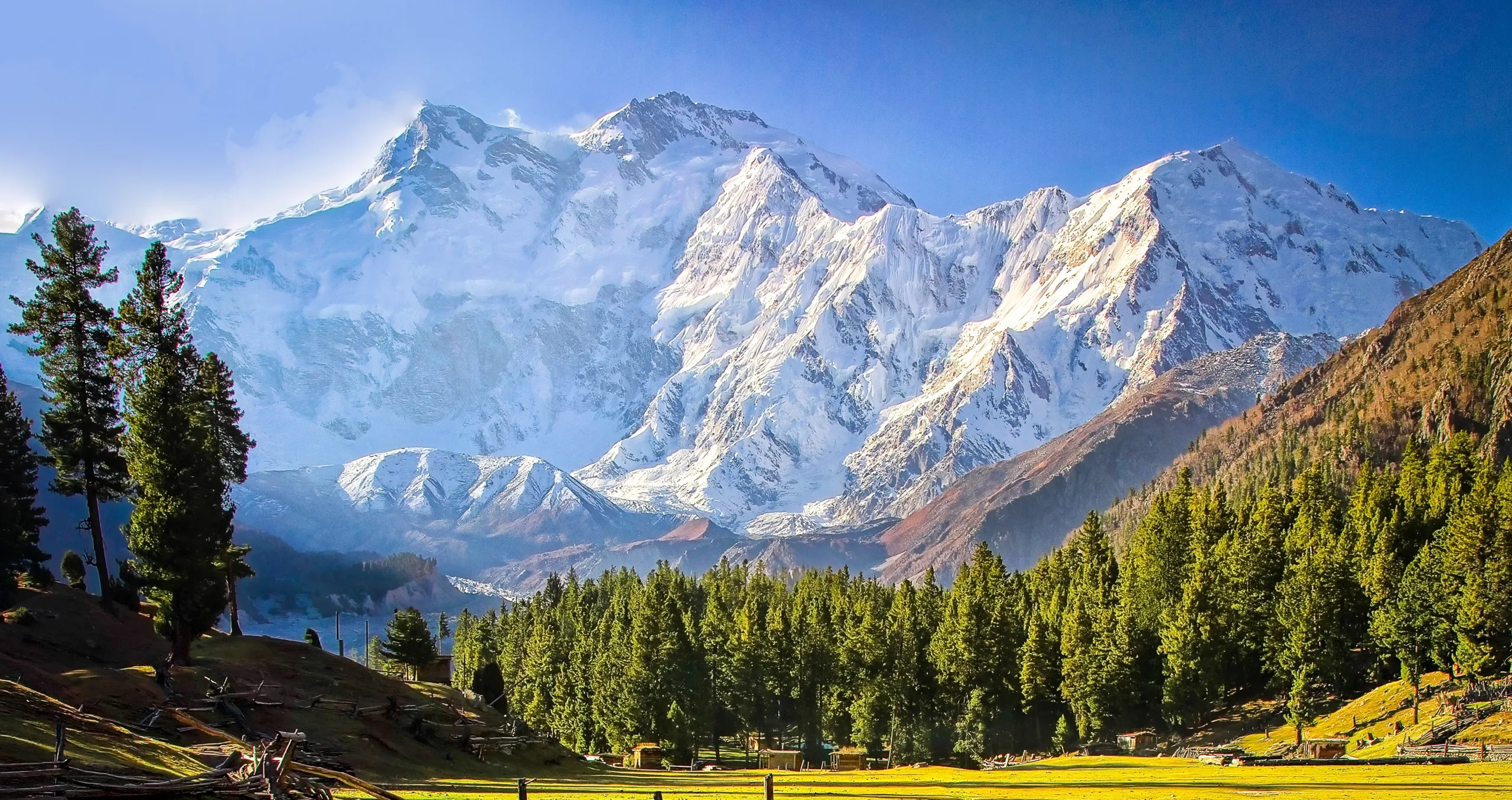 Nanga Parbat Snowland