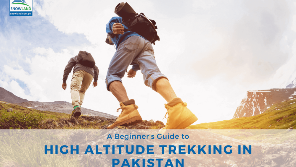 A Beginner's Guide to High Altitude Trekking in Pakistan